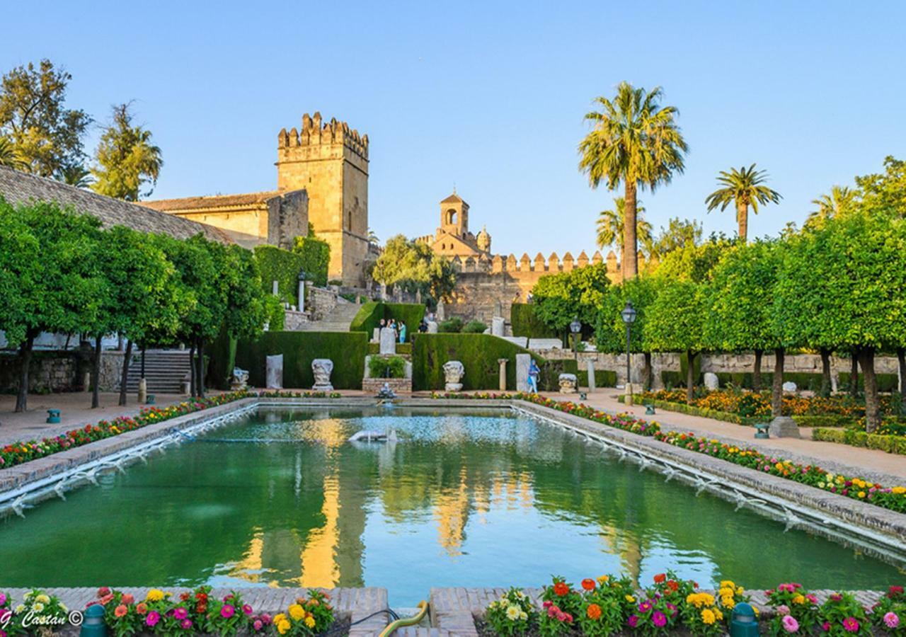 *New* Cerca De La Mezquita Daire Cordoba Dış mekan fotoğraf